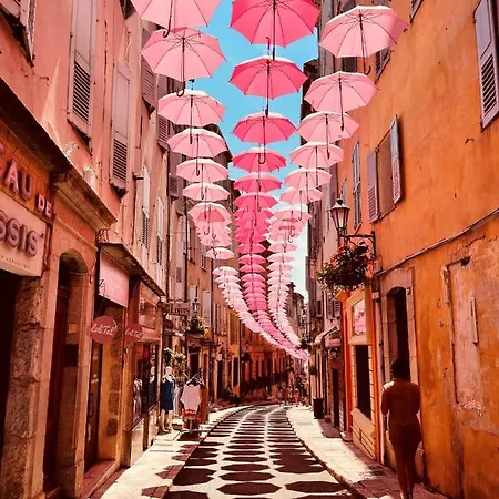 Soleil D'afrique * Grasse